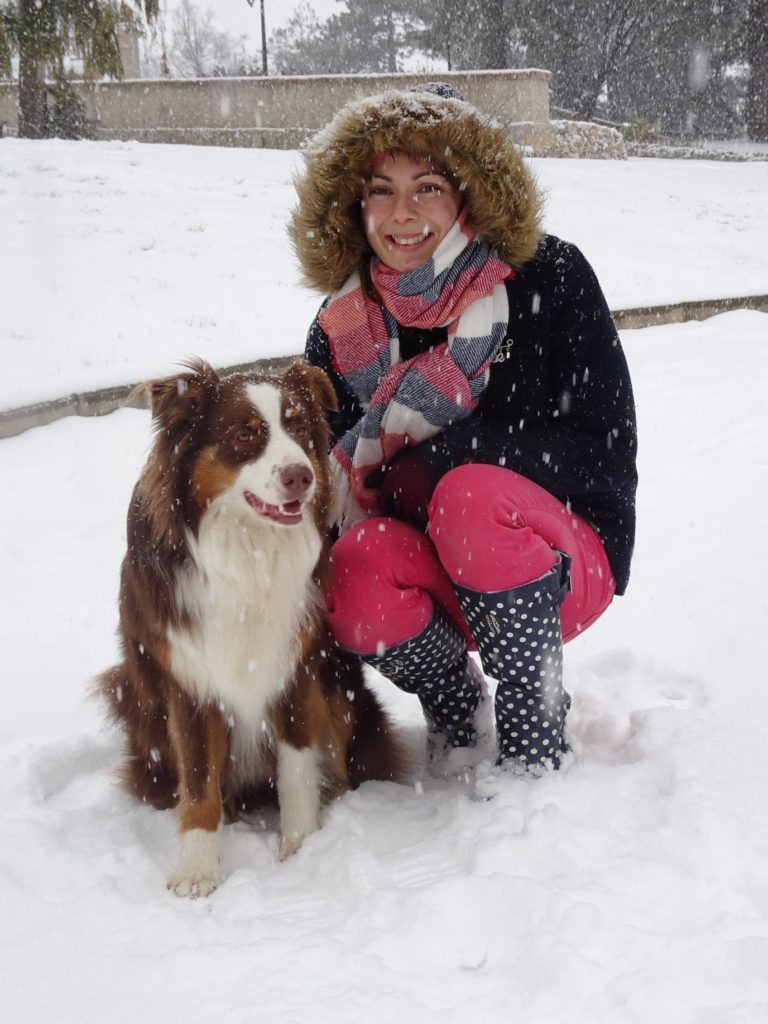 Berger australien
dressage chien
éducateur canin