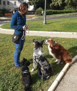 Éducatrice canine encadrant un groupe de chiens attentifs lors d'un cours d'obéissance et d'éducation positive