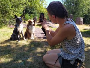Éducatrice canine de Cyno Complices prenant en photo deux chiens en pension pour donner des nouvelles aux propriétaires