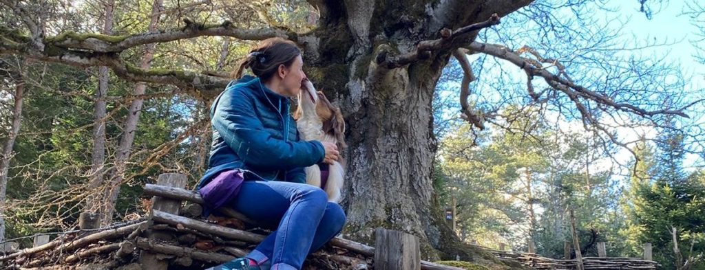 Berger australien
dressage chien
éducateur canin