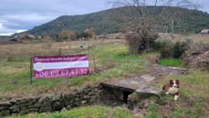 Terrain ludique canin à 10 minutes d'Alès