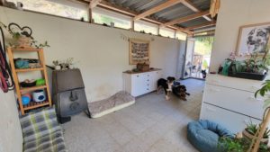 Espace patio lumineux et apaisant offrant un lieu de vie idéal pour les chiens séjournant en pension.