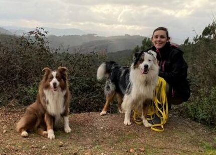 dressage chien
pension canine familiale
parcours formation canine