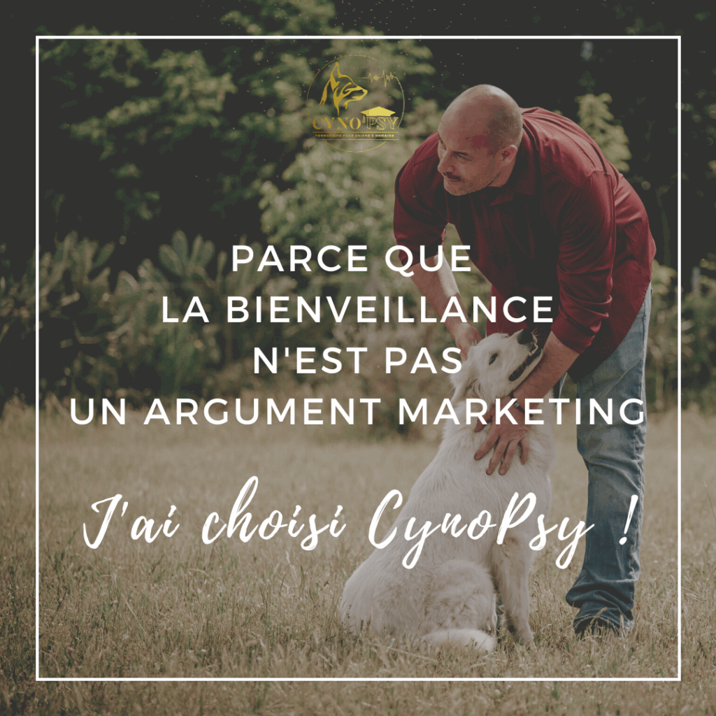 Cynopsy
Cynostage
Formation canine
Formation éducateur comportementaliste chien