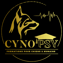 Cynopsy
Formation canine
Formation éducateur comportementaliste chien