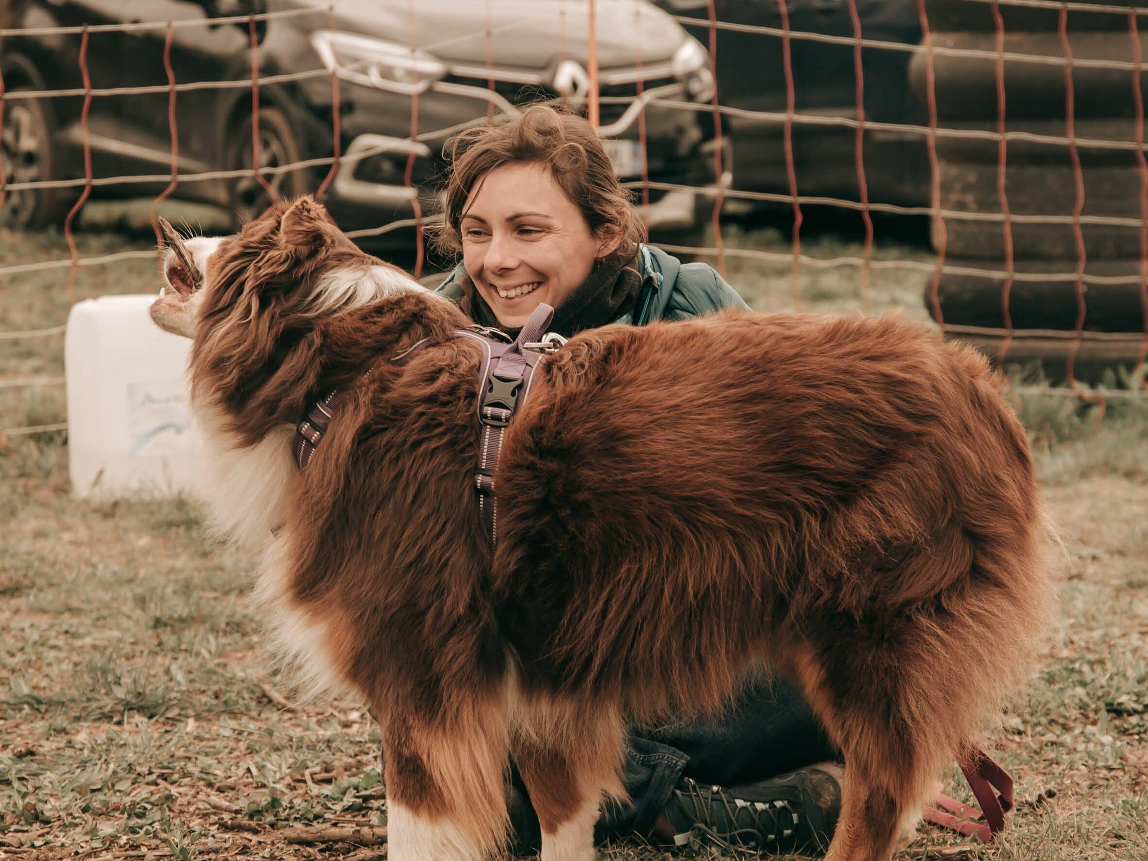 L'éducatrice de Cyno Complices en formation pratique de Cynopsy, perfectionnant ses méthodes d'éducation positive.