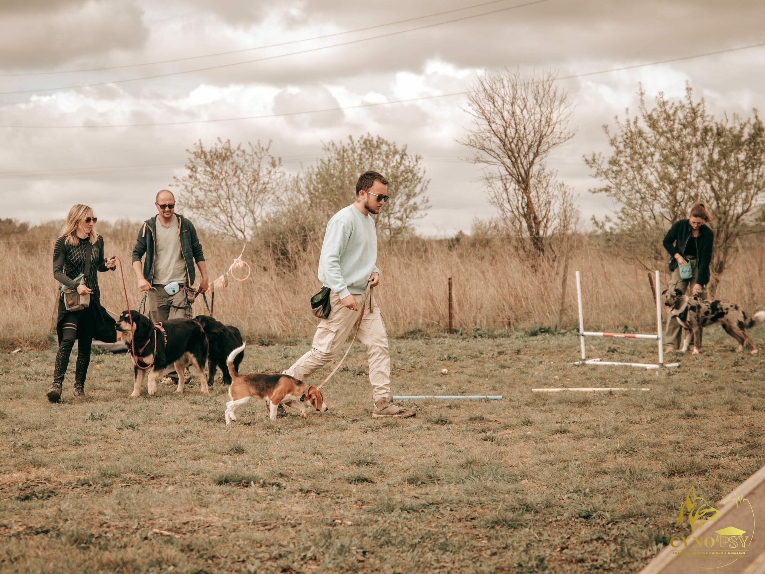 cours collectif éducation chien