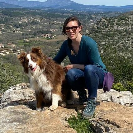 Lien complice entre chien et humain 